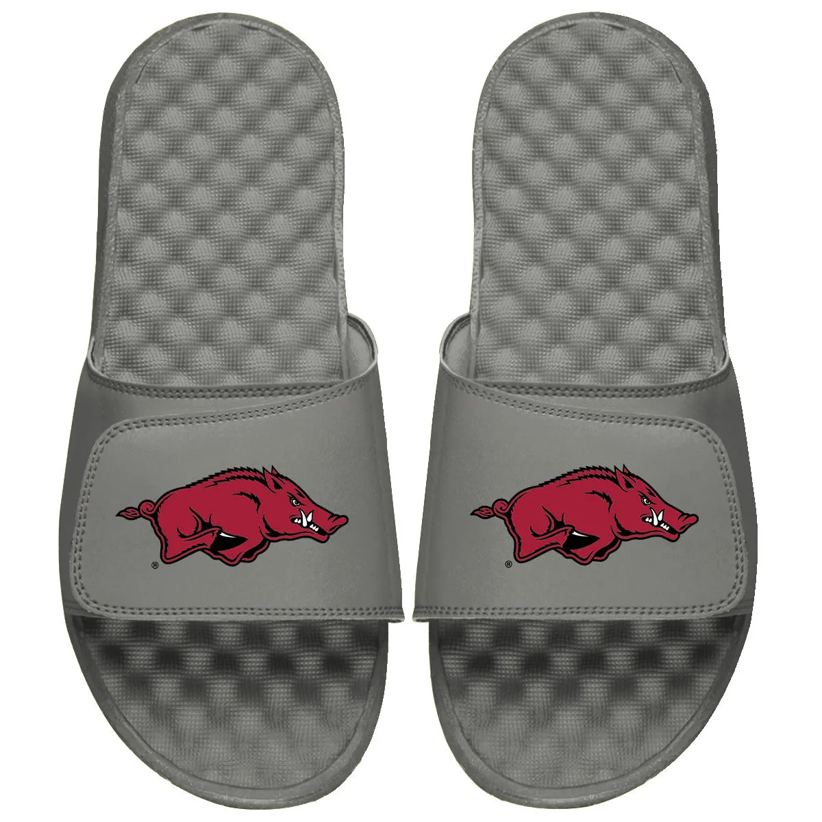 Arkansas Razorbacks Primary Logo