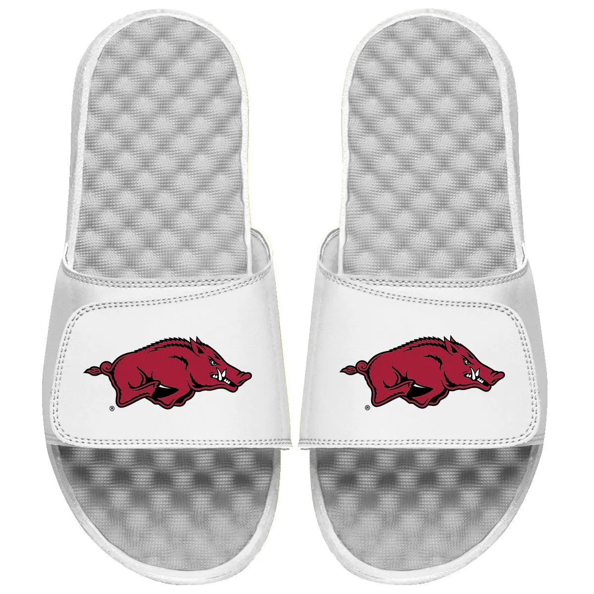 Arkansas Razorbacks Primary Logo