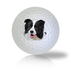 Border Collie Golf Balls