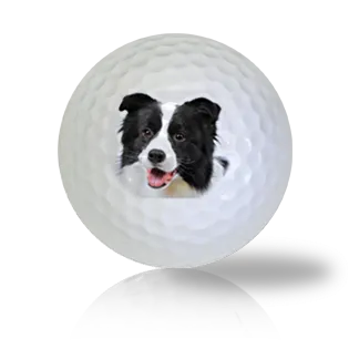 Border Collie Golf Balls