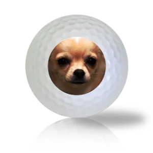 Chihuahua Golf Balls