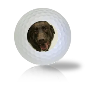 Chocolate Lab Golf Balls