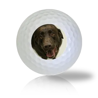 Chocolate Lab Golf Balls