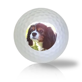 King Charles Spaniel Golf Balls