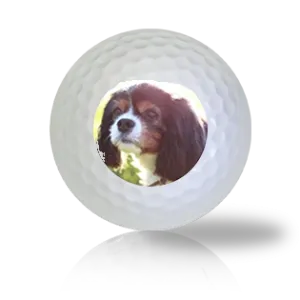 King Charles Spaniel Golf Balls