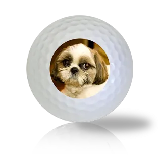 Shih Tzu Golf Balls